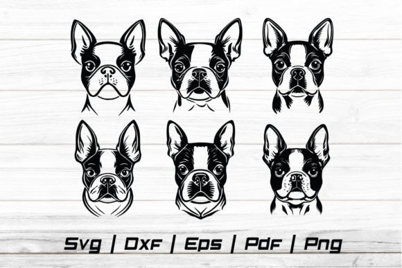 Boston Terrier Dog Head: A Designer's Review