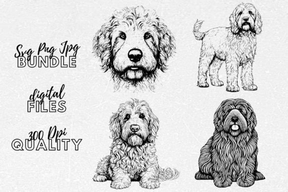 Labradoodle SVG – Dog Clip Art Review