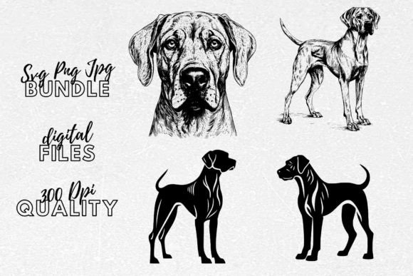 Rhodesian Ridgeback SVG - Dog Clipart Review